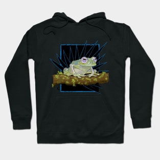 Glass Frog Wildlife Hoodie